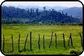 Talesh-Ardebil pictures, Iran Caspian Region