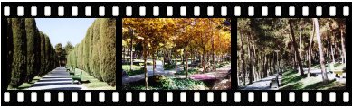 Tehran Saie park photos