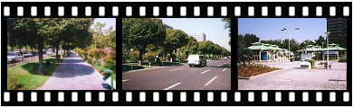 Tehran Laleh Park and Keshavarz Boulevard sidewalk