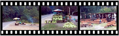 Roadside vendors in Chalus