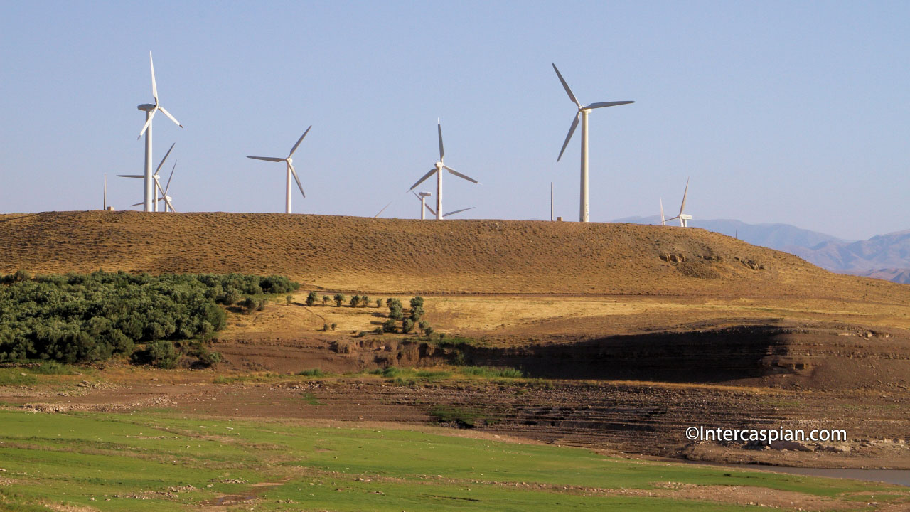 Wind turbines and olive groves next to each other