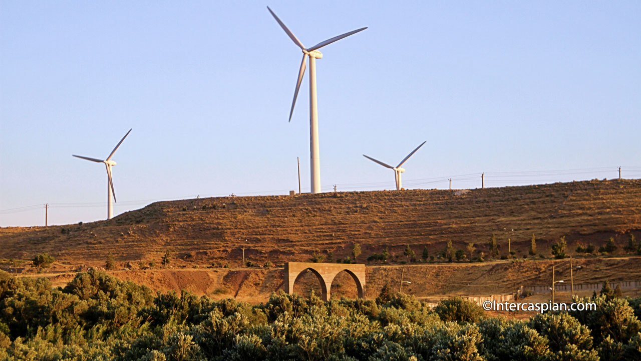 An olive grove and wind turbines next to the city