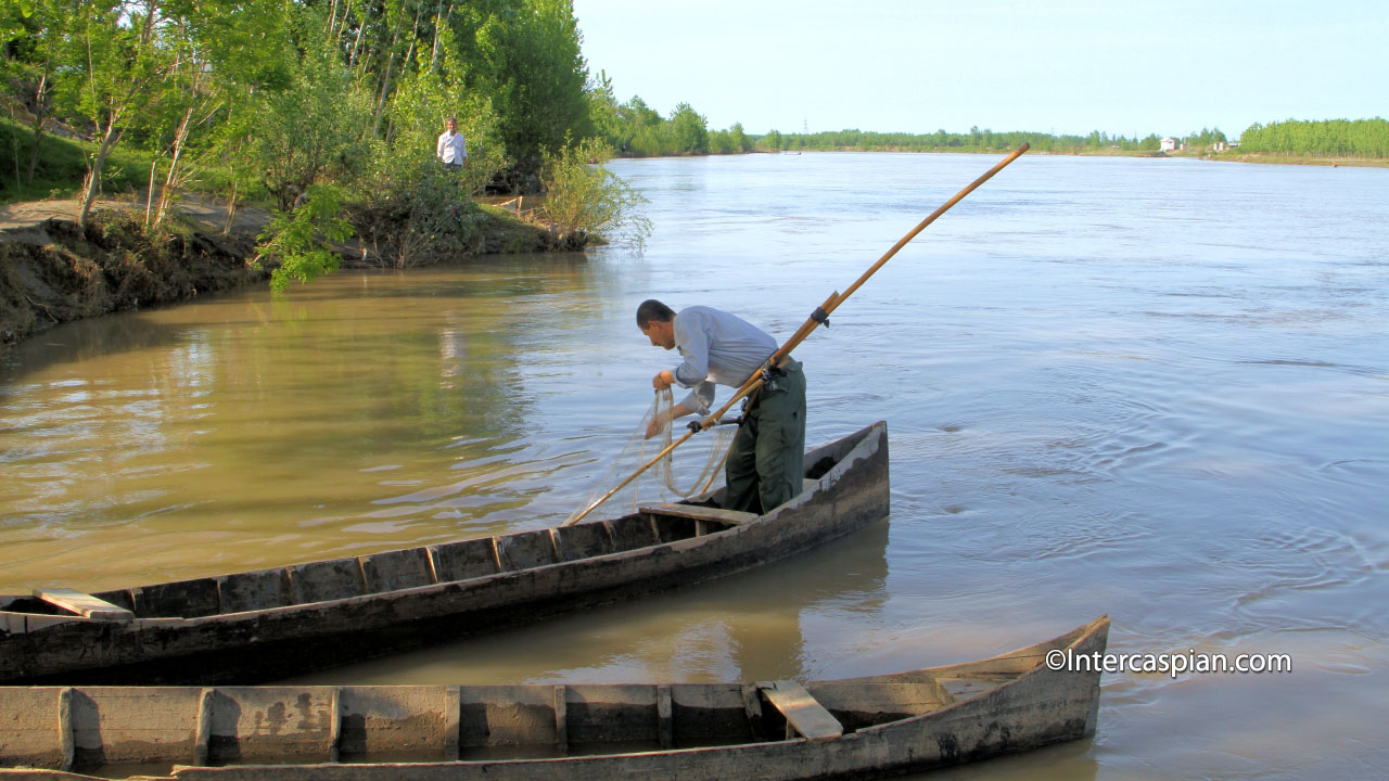 Net fishing on Sefid Rud river