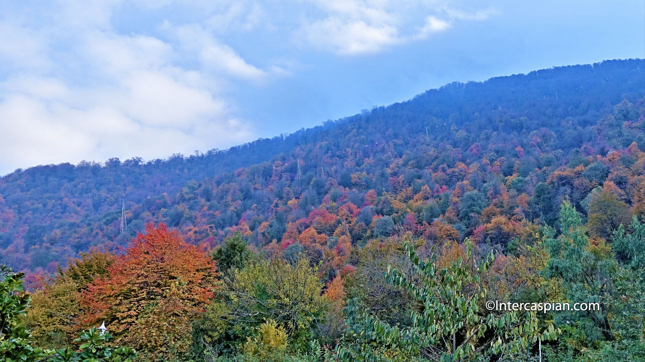 Namak Abrud forest and Telecabin