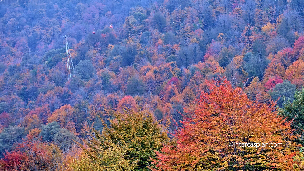 Namak Abrud forest and gondolas