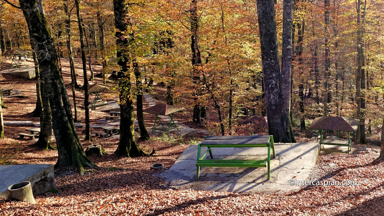 Picnic area in Namak Abrud forest