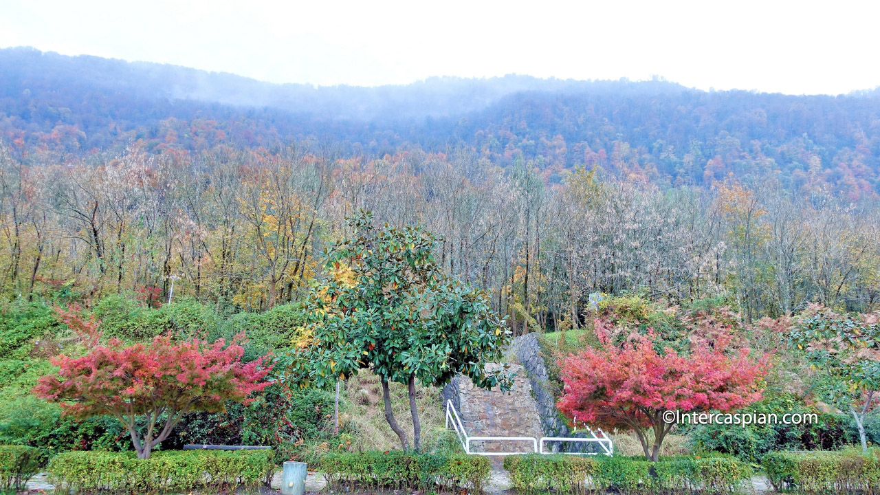 Ramsar jungle viewed from Chalus to Rasht highway