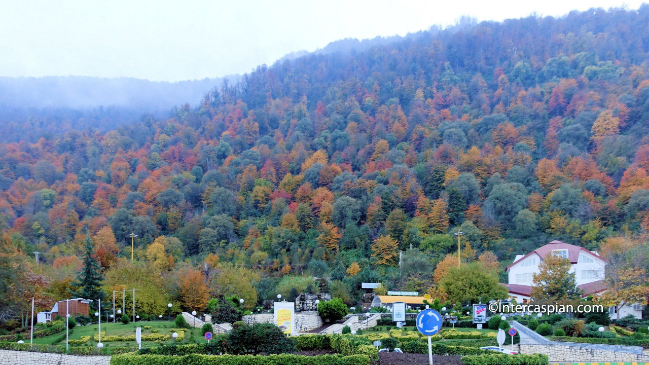 Photo de la coloration automnale de la forêt de Ramsar