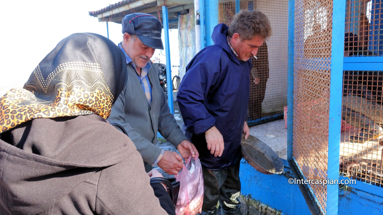 Fishermen in Ramsar